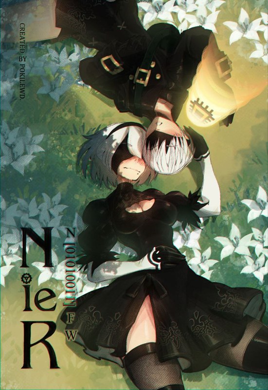 Nier-Одиночный выстрел0