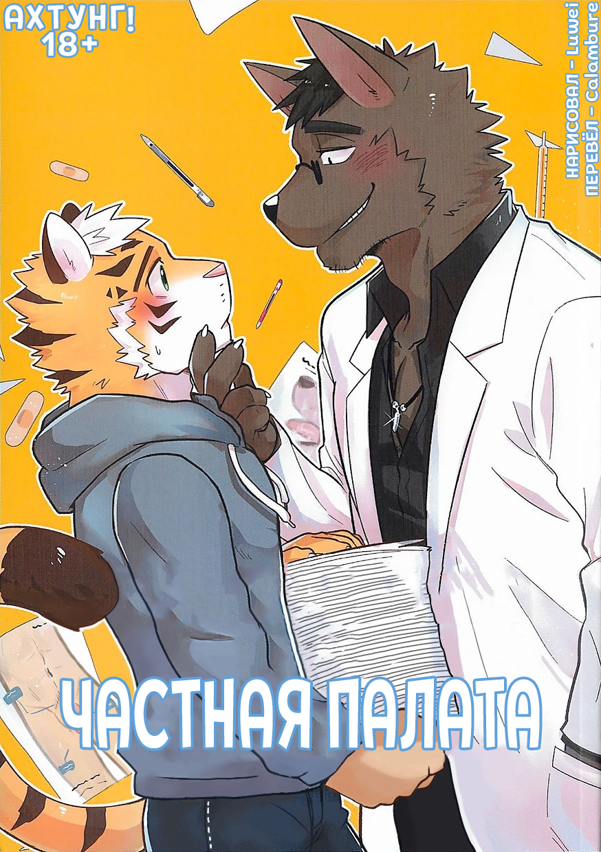 The Private Class in the Health Center (Частная палата) - Seite 1