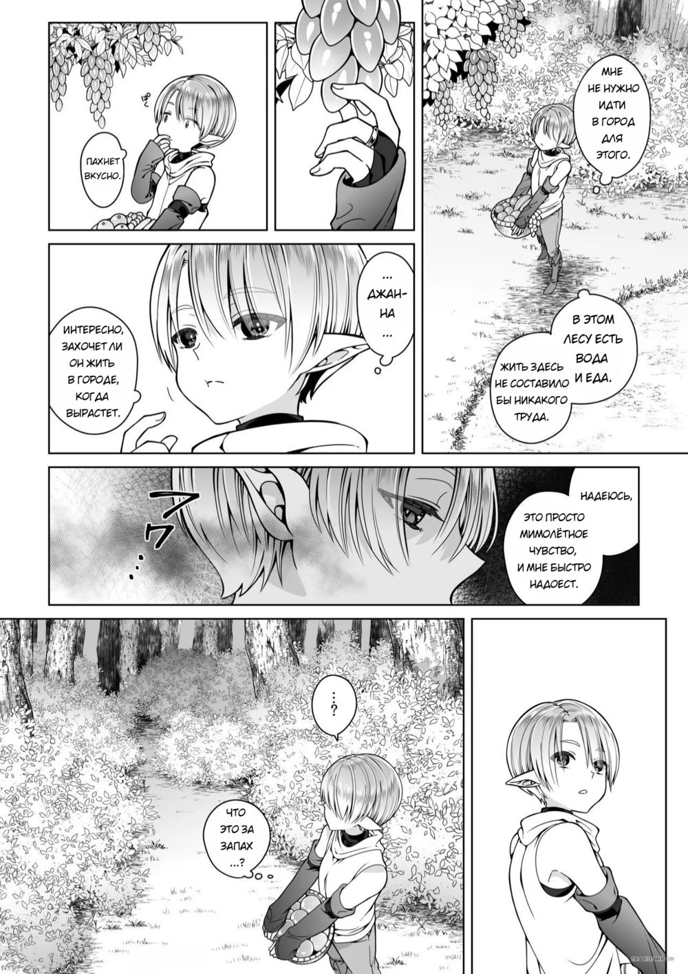 Испытания близнецов-эльфов - Глава 1 (The Twin Elves' trials) - Page 6
