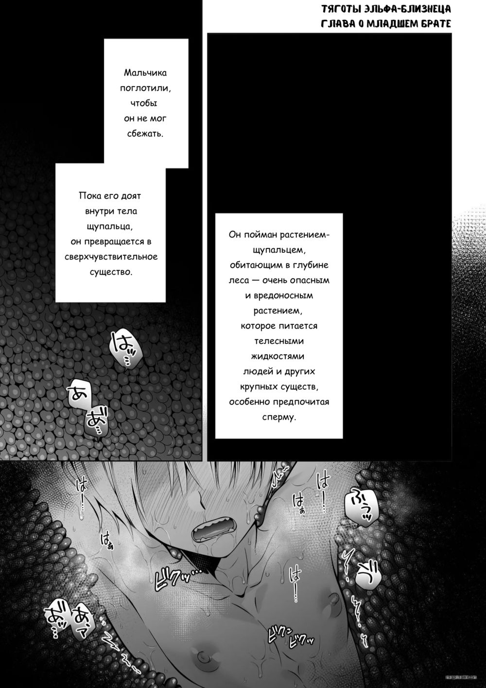 Испытания близнецов-эльфов - Глава 2 (The twin elves' trials - Part II) - Pagina 3