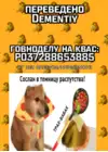 (Стр. 16)