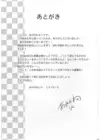 (Стр. 25)
