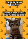 (Стр. 14)