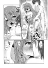 (Стр. 13)