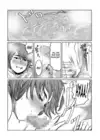 (Стр. 13)