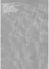 (Стр. 3)