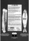 (Стр. 39)