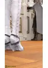 (Стр. 5)