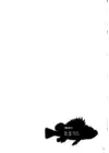 (Стр. 20)