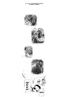 (Стр. 5)
