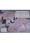 (Стр. 96)