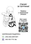 (Стр. 31)