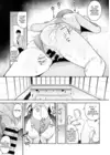 (Стр. 13)