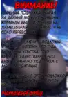 (Стр. 10)