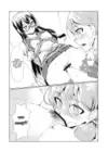 (Стр. 17)