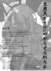 (Стр. 21)