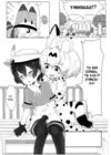 (Стр. 4)