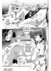(Стр. 17)