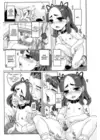 (Стр. 13)