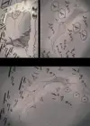 (Стр. 77)