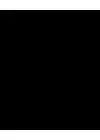 (Стр. 101)