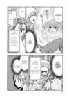 (Стр. 13)